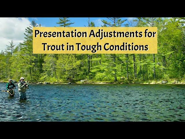 Presentation Adjustments for Trout in Tough Conditions