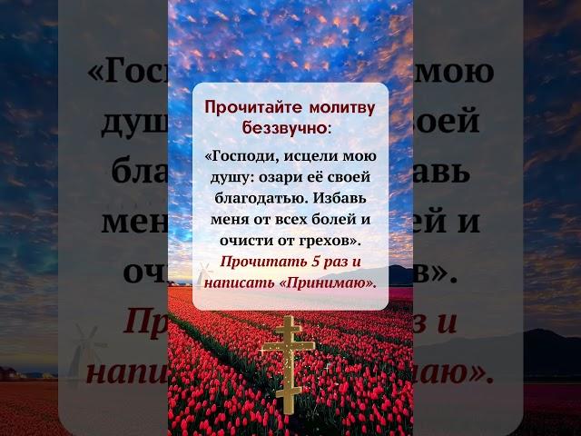 #молитва,#православие,#Русская Православная Церковь,#Утренняя молитва,#Бог,#господь,#Правильнаявера