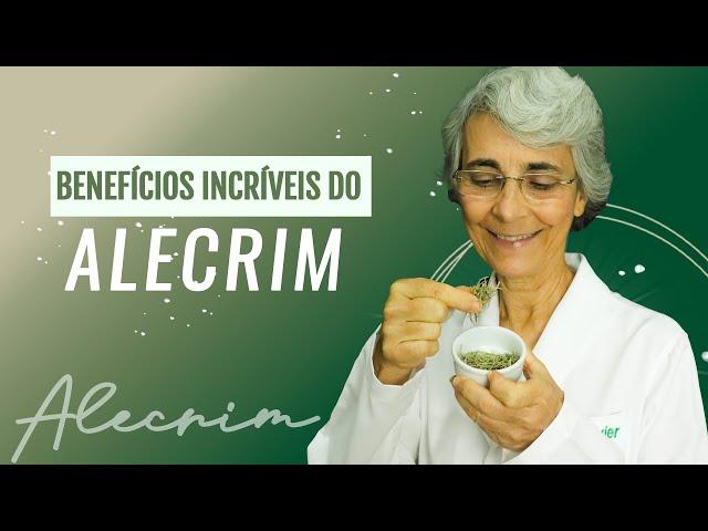 Alecrim emagrece? Conheça o poder dessa planta