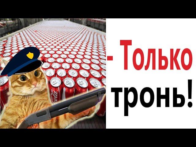 Лютые приколы. КОТ ЛЮБИТ ГАЗИРОВКУ!!! Тест на психику! Засмеялся проиграл! – Domi Show!