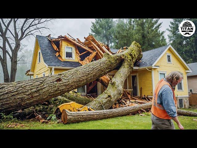 Dangerous Fastest Idiots Cutting Tree Fails Skill With Chainsaw | Tree Falling on Houses #11