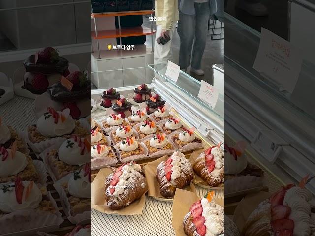 서울근교 리버뷰가 씹어먹은 베이커리 카페 I 반려홀릭