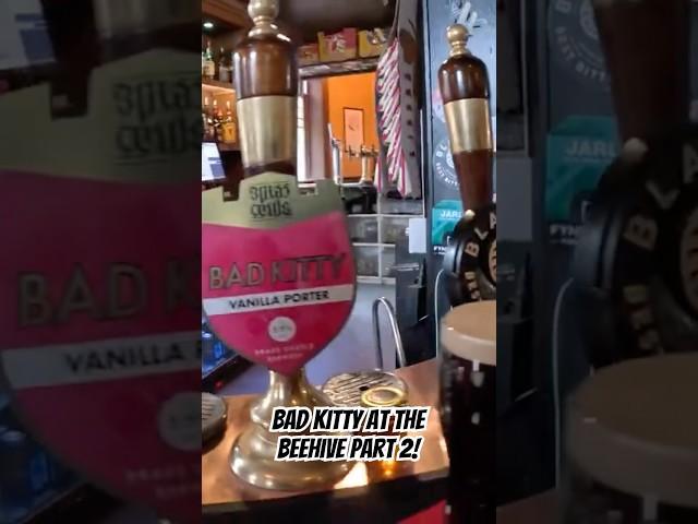 Bad Kitty at The Beehive Part 2! #ale #beer #pub #camra #england #vlog #spbw #shipley #saltaire