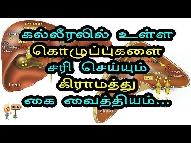 கல்லீரலில் உள்ள கொழுப்புகளை சரி செய்யும் கிராமத்து கை வைத்தியம்... - Tamil Info