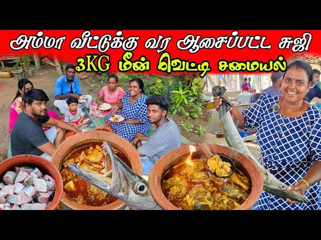 சுஜி வீட்டில் இன்று 3kg மீன் சமையல் | village lifestays | vanni vlog