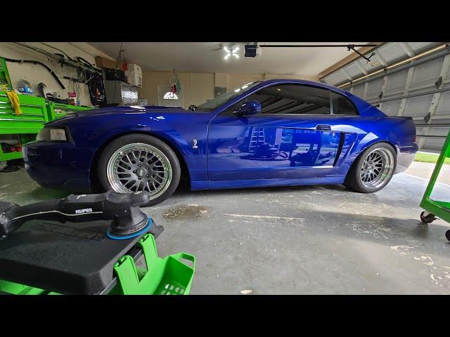 Watch this 2003 Sonic Blue Cobra go from dull to an absolute beauty.