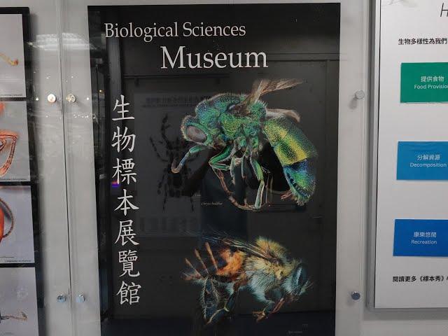 HKU Biological Sciences Museum 香港大學生物標本展覽館 [KA177]