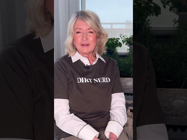 Martha Stewart's Memories of Her Dad's Garden