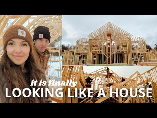 We have a HOUSE STRUCTURE | DITL of building a house