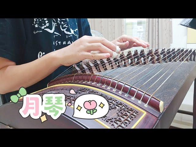 彈琴日常|古箏-鄭怡-月琴Moon Zither