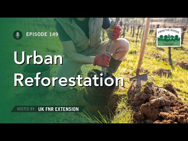 Reforestation in Urban Areas - From the Woods Today - Episode 149