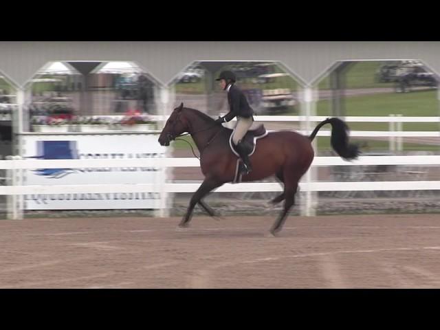 Video of LEGACY ridden by ASHLEY VOGEL from ShowNet!