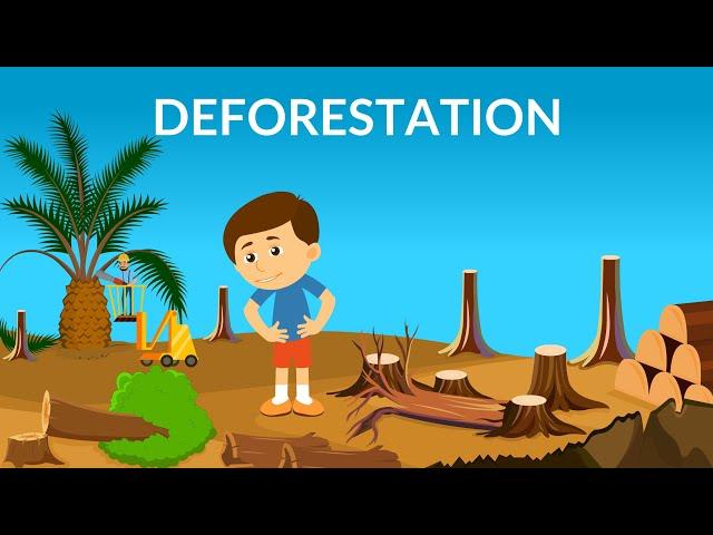 Deforestation | Causes, Effects & Solutions | Video for Kids