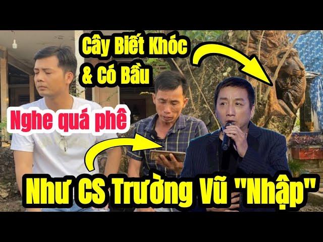 Quá bất ngờ khi Chủ cây Còng cổ thụ BIẾT KHÓC và hình dạng MANG BẦU có giọng hát quá ĐỘC LẠ