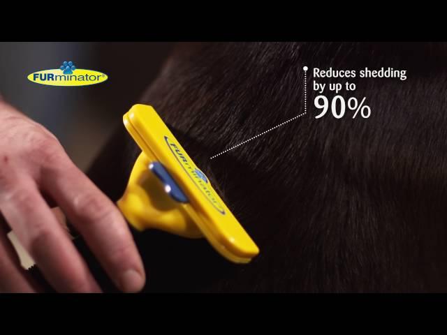 Enjoy a Hair Free Life with FURminator