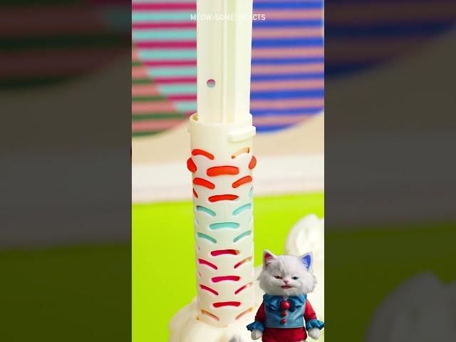 The Most ADDICTIVE Video You'll Watch Today Mesmerizing Cat Moments Satisfying Hacks #asmr #shorts