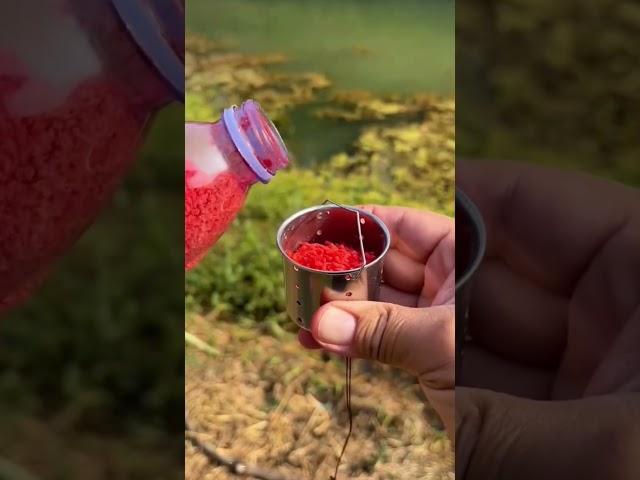 Bí kíp xả mồi cuốn ổ mồi câu cá diếc, chép siêu dính cá carp fishing#4 #fishingcarp  #shorts