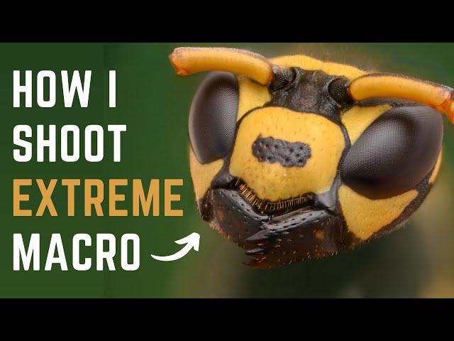 How to shoot EXTREME MACRO the EASIEST way (No Focusing Rail | No Macro Lens | No Microscope)