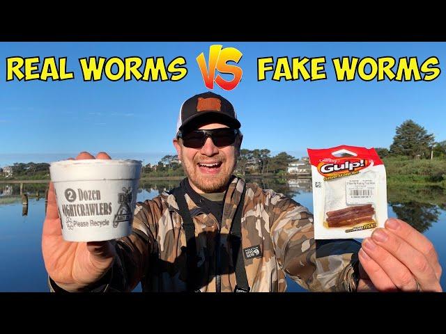 Real VS Fake Trout Worms Challenge (Multiple Bobbers Down!!!)