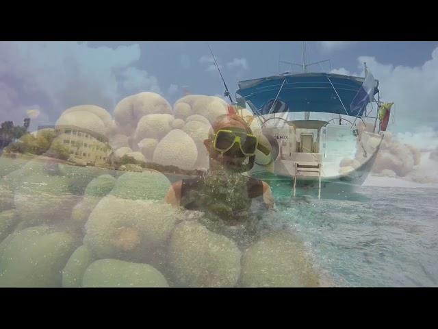 Snorkling with Solobon Sailing Bonaire