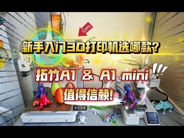 家用入门3D打印机选哪款？拓竹A1＆A1 mini，值得信赖！