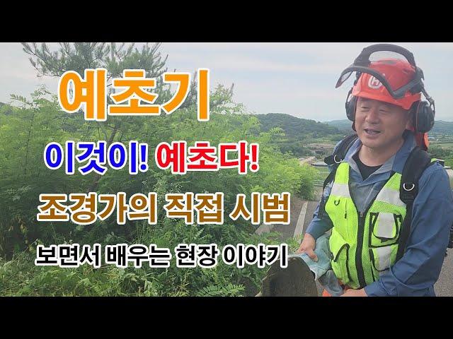 #예초기 조경가의 억세고 험난한 하루 #조경과구들장 #diy #귀농 #귀농귀촌 #귀촌 #gardening #garden