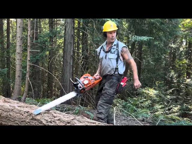 The Chainsaw that does it all! Bucking Timber.