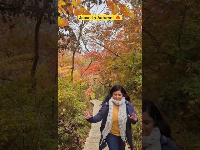 Take your 'Jugni' to Japan! You will fall in love with Japan in Autumn! #shorts #japan #traveljapan