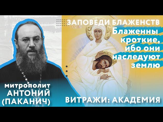 ЗАПОВЕДИ БЛАЖЕНСТВ: Блаженны кроткие | Митрополит Антоний (Паканич) | ТЕОВЛОГ