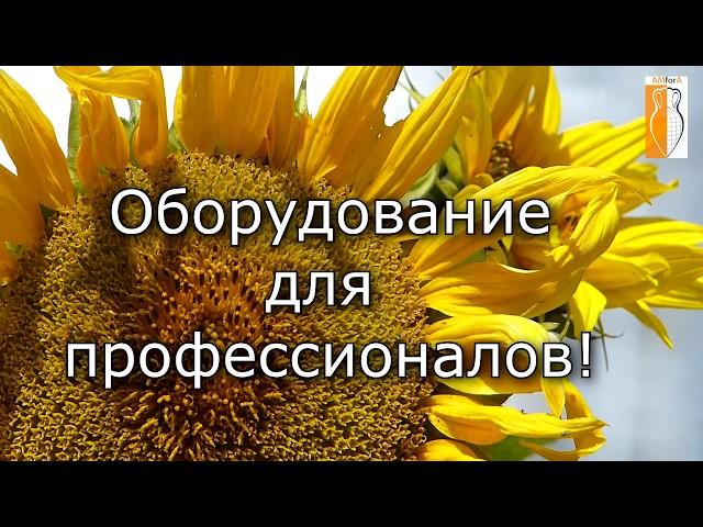 Отгрузка зерна - экспедиция на элеваторе