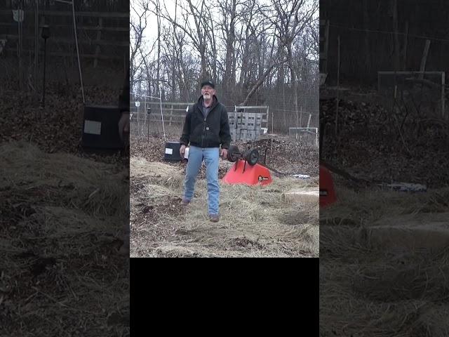 This is extreme gardening #garden #growfoodnotlawns #gardenmulch