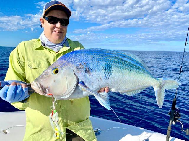 How I use my Simrad Sounder to find fish | Queen Snapper, Dhufish & Breaksea in perfect weather!