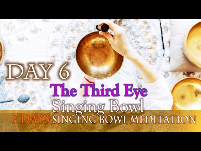 【DAY6/ The Third Eye】7 Chakras into the singing bowl for meditation/Mindfulness 【連播7日頌缽淨化眉心輪】