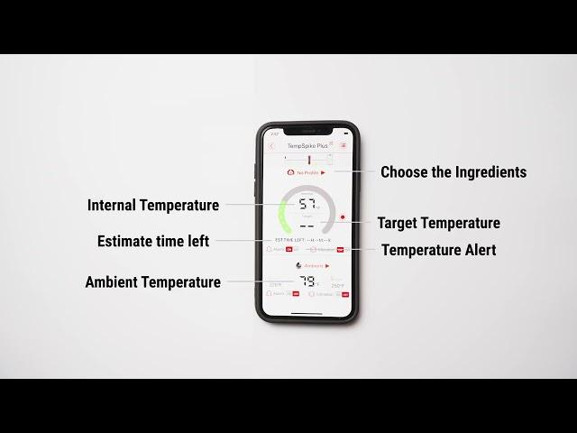 ThermoPro TP970 TempSpike Plus Bluetooth Wireless Meat Thermometer - Unboxing