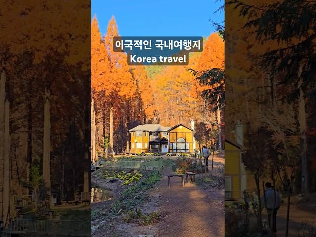 드라마에 나온 외국같은 국내여행지, 가을 여행지 추천 | Korea travel