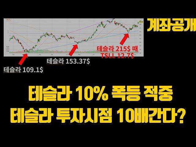 테슬라 10% 폭등 적중 테슬라 투자시점 10배간다?