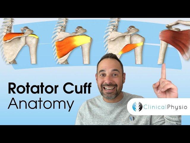 Rotator Cuff Anatomy | Expert Physio Guide