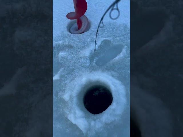 #icefishing #hardwaterfishing #coldweather #alaskannative