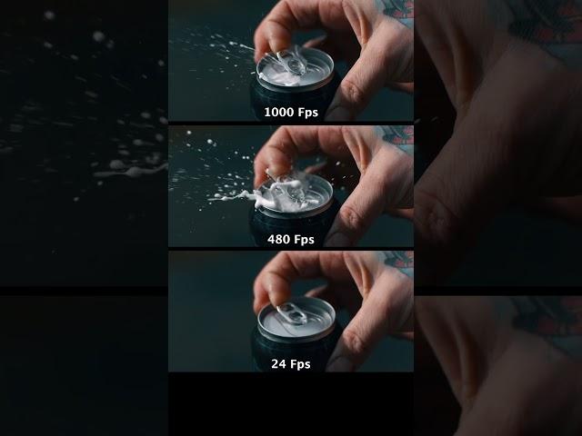 24fps vs 240fps vs 1000fps FPS Test