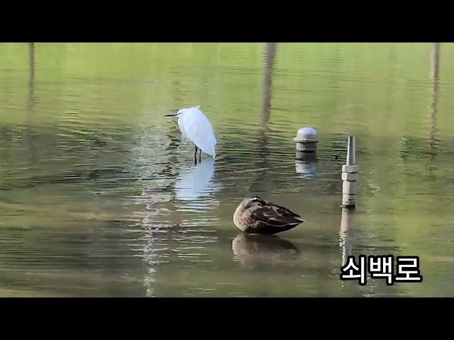 베르네천 소개[부천마을미디어 체험형 / 숲사랑해]