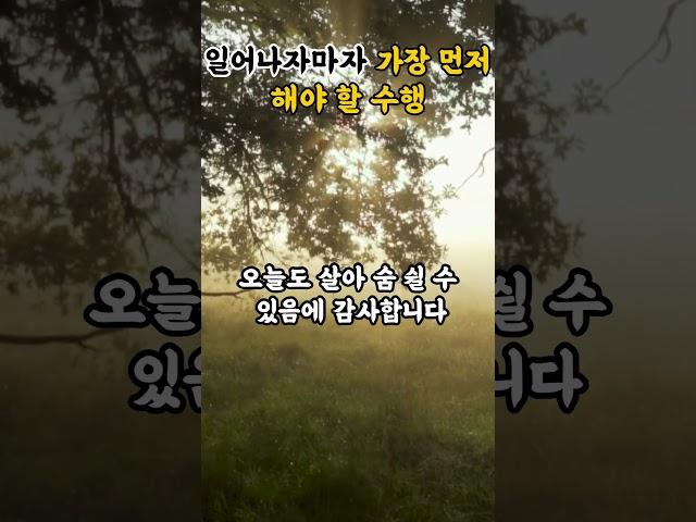 아침 가장먼저 해야할 수행 부처님말씀 불교명언|부처님가르침|불교수행|힐링영상|감사명상|불교오디오북