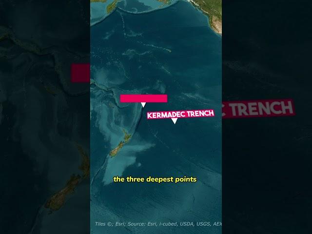 How HUGE is the Pacific Ocean?  Point Nemo & Mariana Trench Explained!  #geography