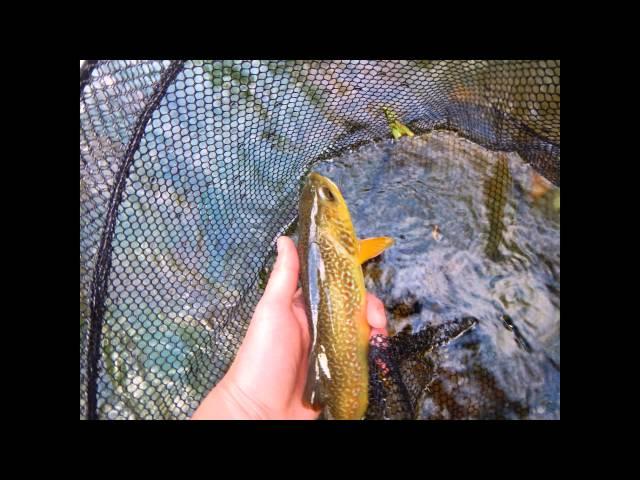 Fly fishing on river Reka