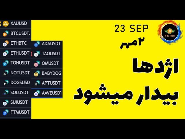 تحلیل بیت کوین:اژدها بیدار شد؟| تحلیل نات کوین، داگز، بیبی دوج