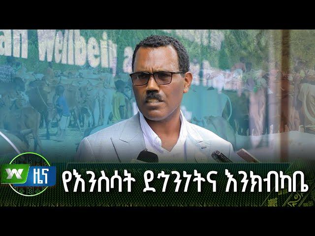 የእንስሳት ደኅንነትና እንክብካቤ | ዜና