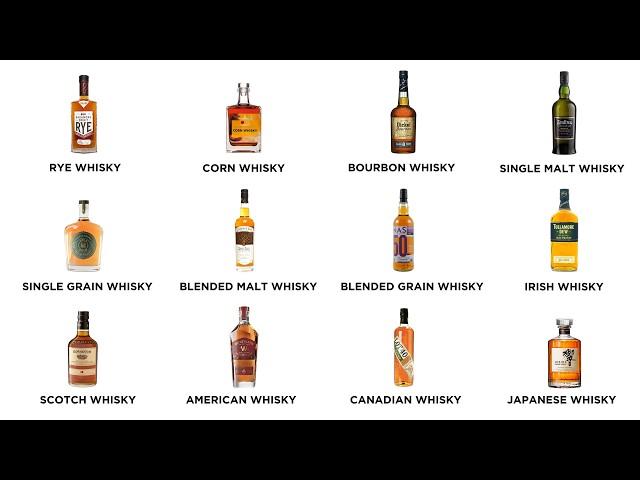 Every Whisky Explained in 12 minutes