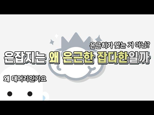 은근한 잡다한 지식 20만 구독자 기념 Q&A