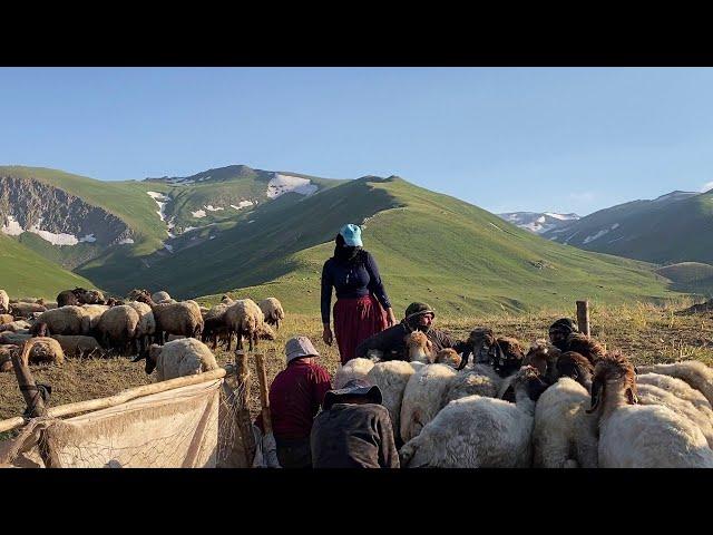 Dengbej Tahsin - Le Le Meyreme  KÜRTÇE DENGBEJİ UZUN HAVA HD 2024