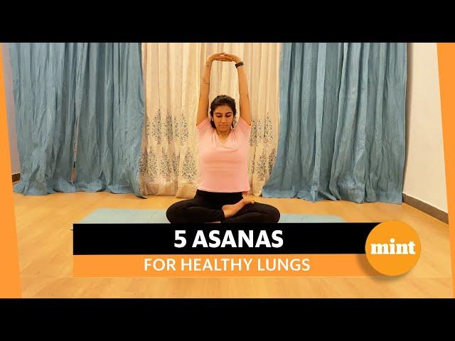 5 Basic Yoga Asanas For Healthy Lungs