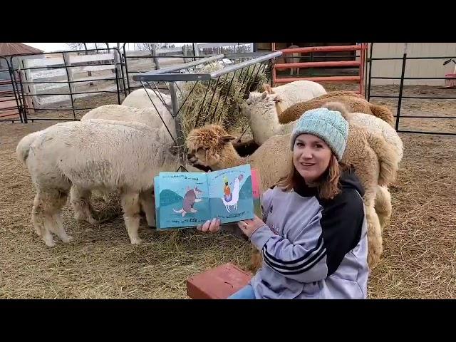 Reading "That Alpaca Ate My Cracker!" with the alpacas